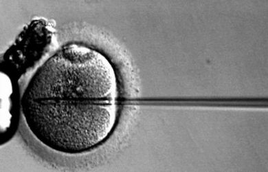 Scholars debunk idea that social egg freezing is empowering