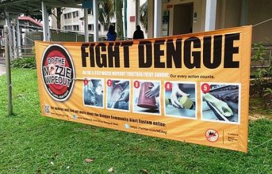 Mapping dengue fever