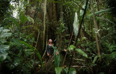 Saving the Amazonian jaguar