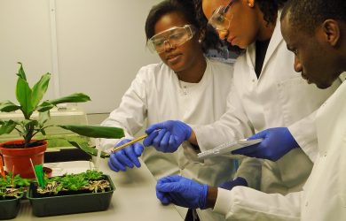 Science workshop aims to boost agriculture research in Africa