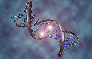 Communicating the science of DNA