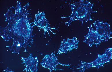 Tackling cancer with nano-drugs