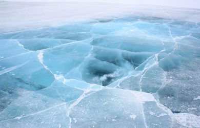 Using ancient DNA to document past sea ice change