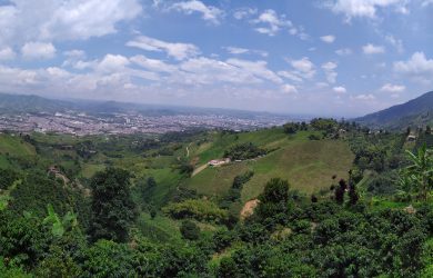 Alumna leads international consortium for smallholders in Colombia