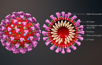 App allows comparisons in rate of spread of COVID-19