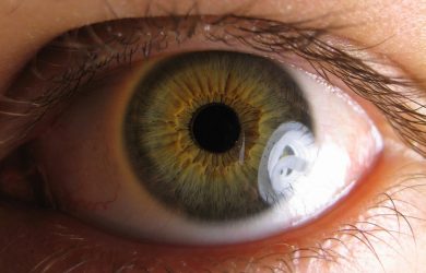 Study offers hope for future glaucoma treatment