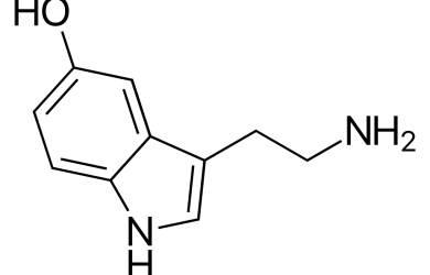 Serotonin and its role in emotional responses