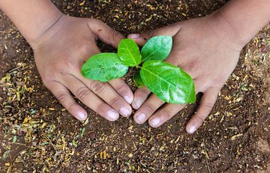 From Plant Sciences to biotech start-ups