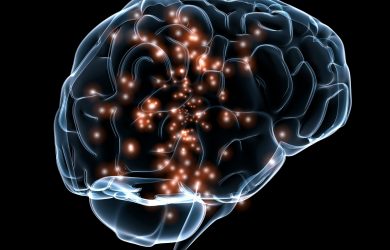 Exploring the neural bases of consciousness